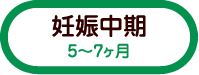 妊娠中期(5～7ヶ月)