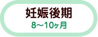 妊娠後期(8～10ヶ月)