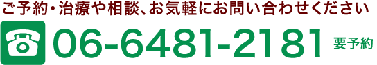 06-6481-2181